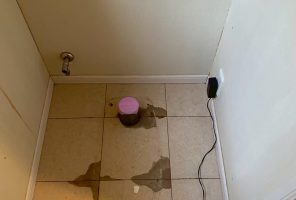 {{brizy_dc_image_alt entityId=